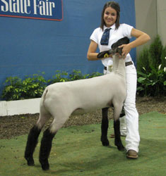 Stitzlein Winner